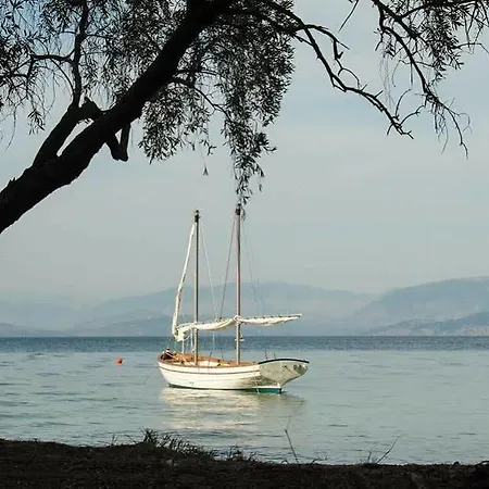 Harbour Corfu Hotel